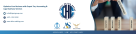 Elite Auditing - Ismail Hajeir Auditing of Accounts