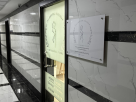 The American European Plastic Surgery Clinic