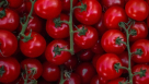 AKSP Grocery