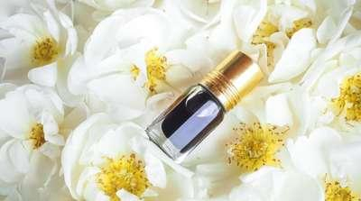 Nader Al Oudh General Trading