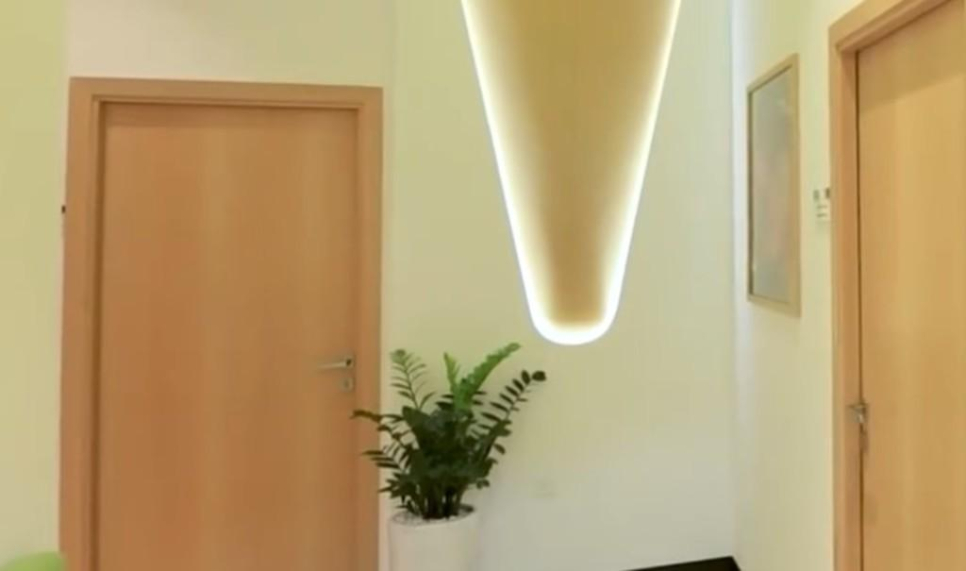 Veda Wellness Ayurvedic