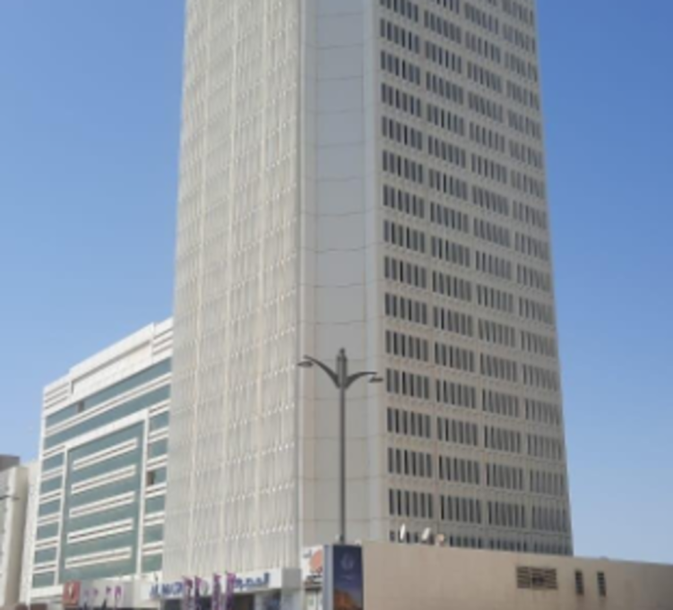 White Lion Capital Real Estate