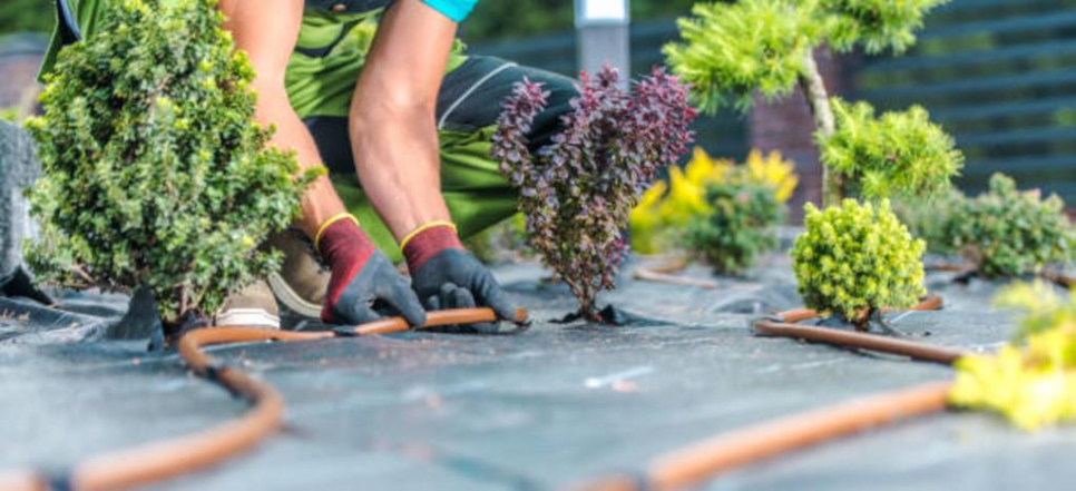 Sialkot Landscaping