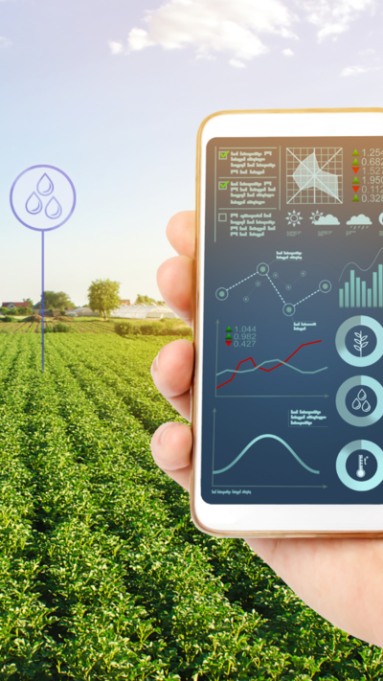 H2o Hydrophonics Agriculture