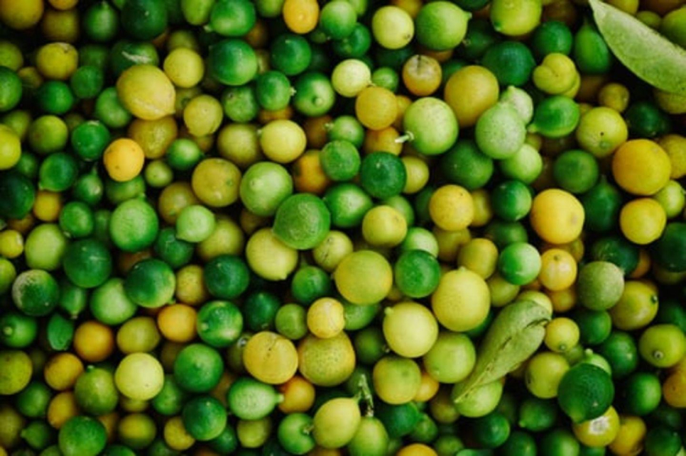 West Food Trade