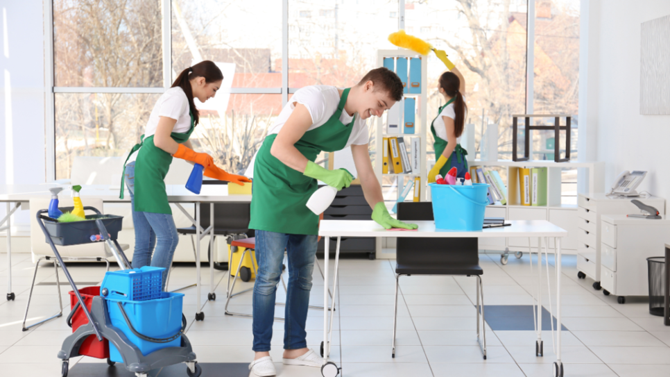 Alfa Maid Cleaning Services