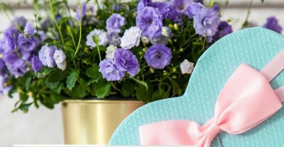 Trilite International