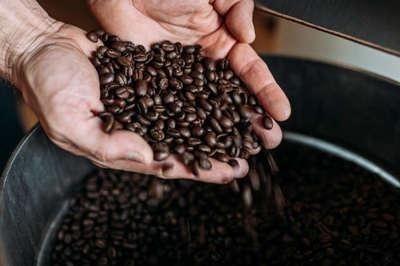 Rabia Afafita Coffee Shop