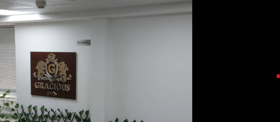 Gracious Business Center
