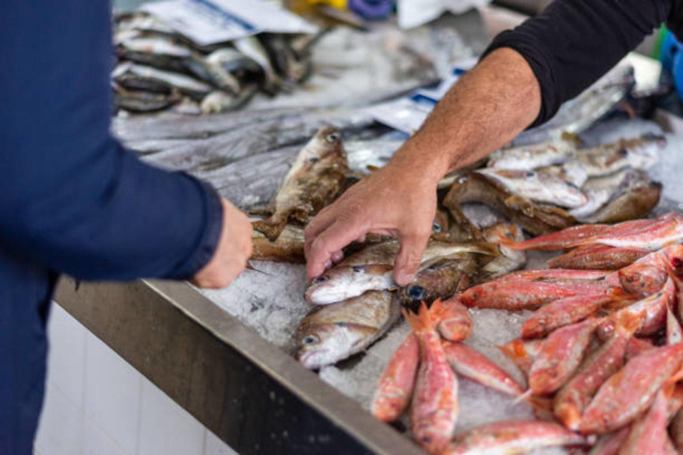 Khamis Mohammed Al Suwaidi Fish Stall