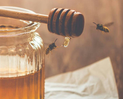 Asrar Al Nahel Honey And Herbs Trading