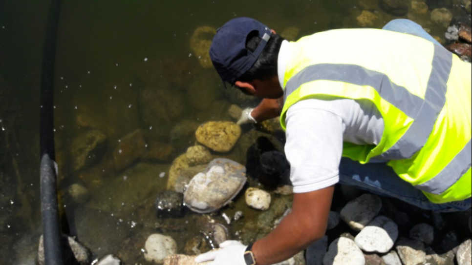 Alpha Environmental Solutions