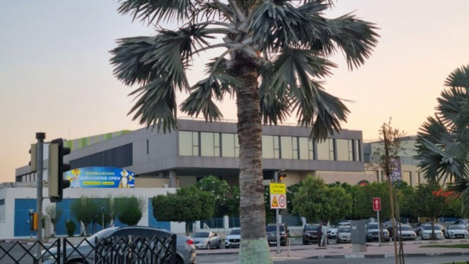 Emirates International School