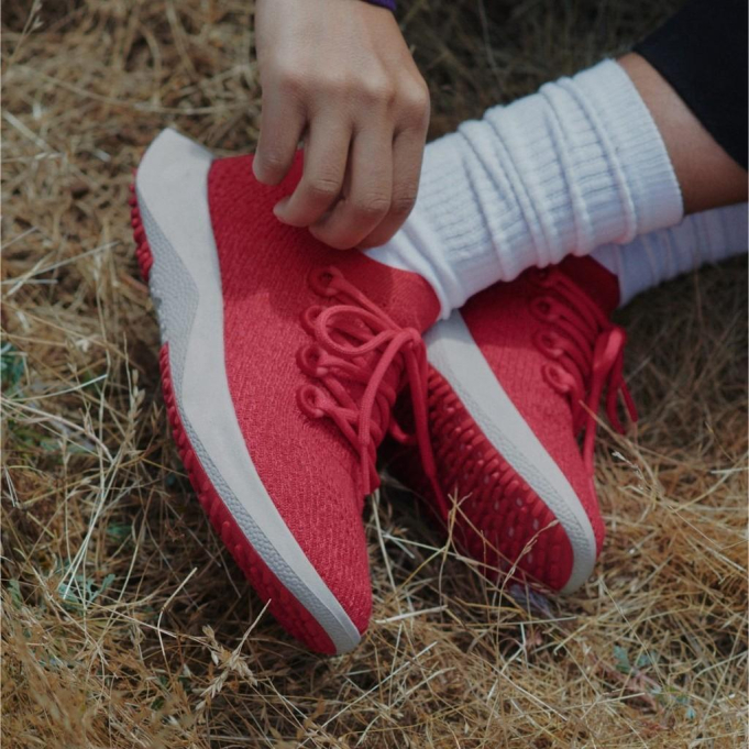 Allbirds