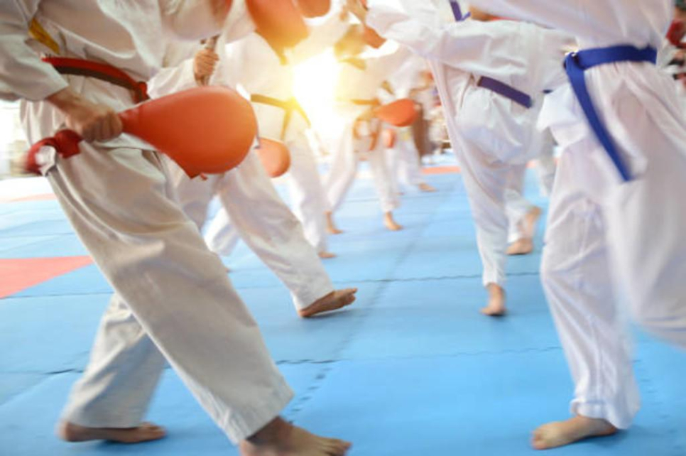 Golden Falcon Karate