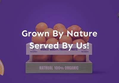 Badira Foodstuff Trading