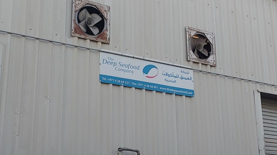 The Deep Seafood Company