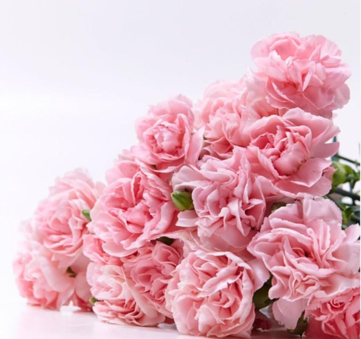 Bloom Box Flower Shop