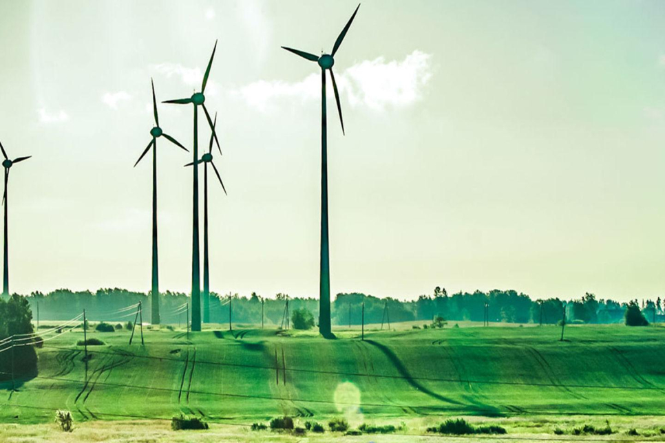 Earth Link And Advanced Resources Development S.a.l Elard