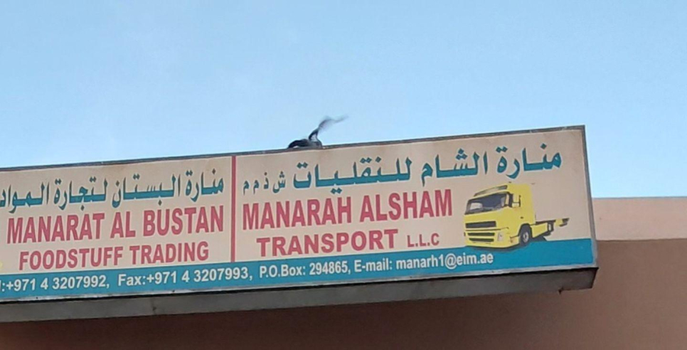 Manarah Alsham Transport