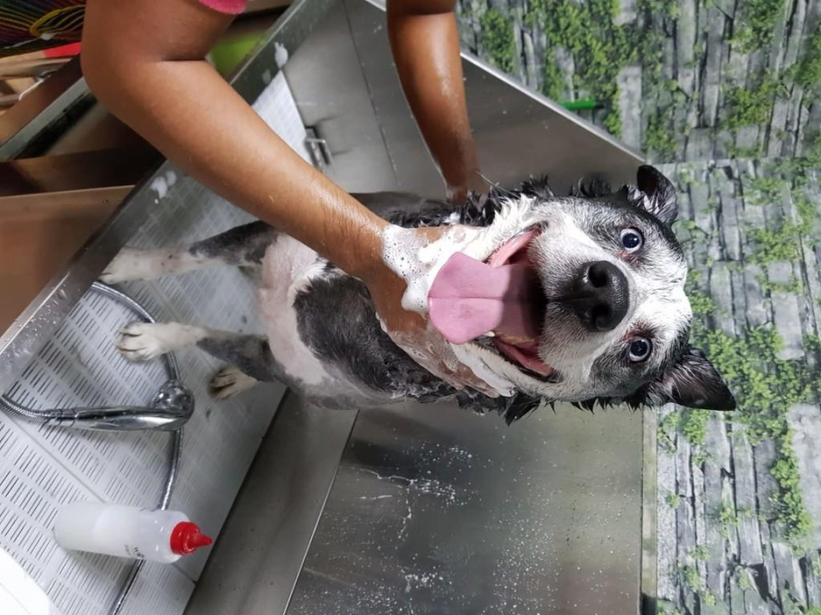 Petzania