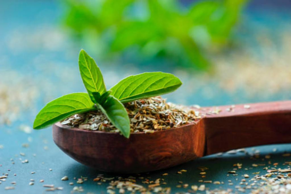 Mitra Ayurvedic Center