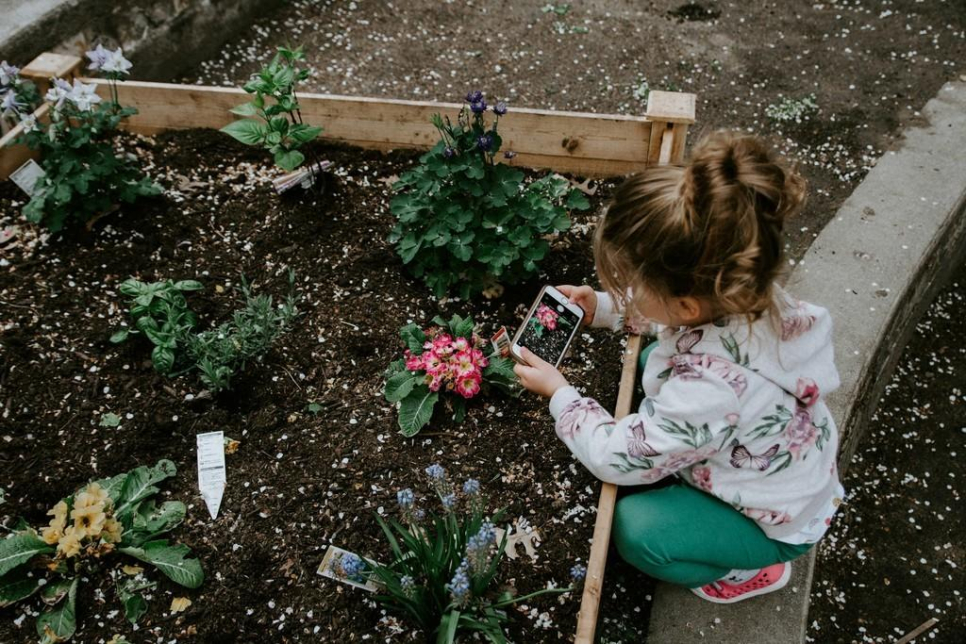 Moher Landscaping And Gardening