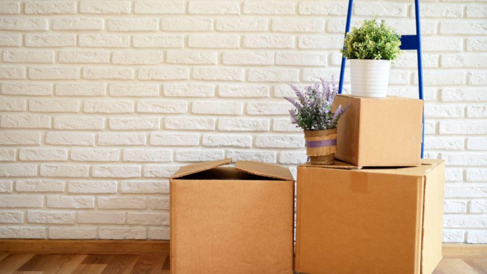 AMJ Movers