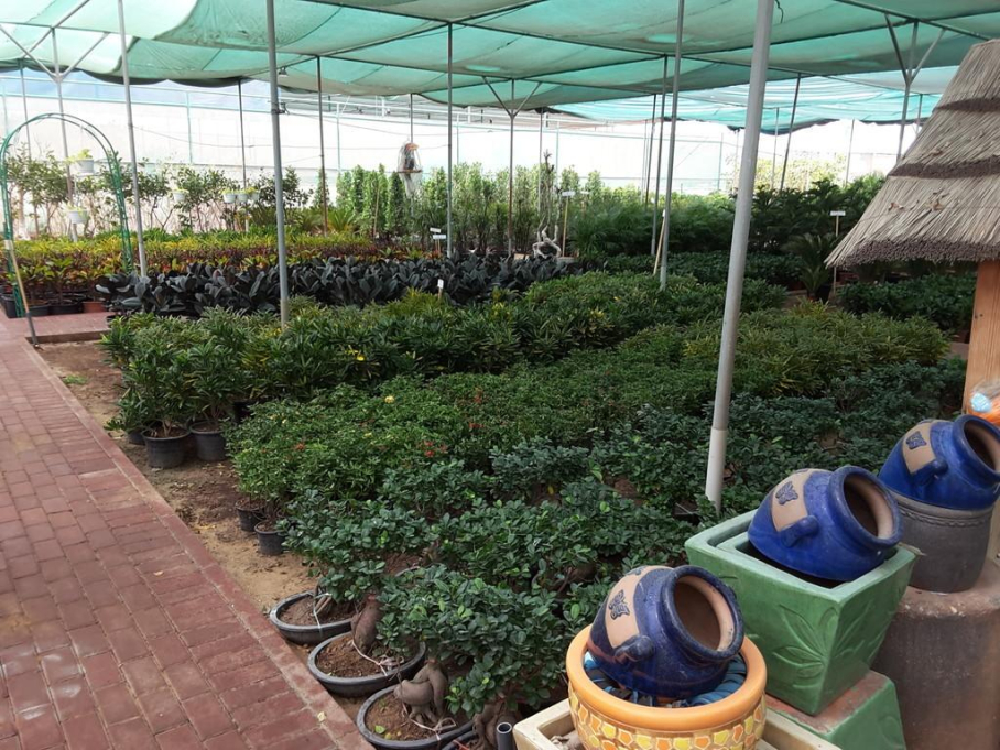 Srg Nurseries