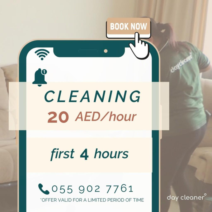 Day Cleaner Services