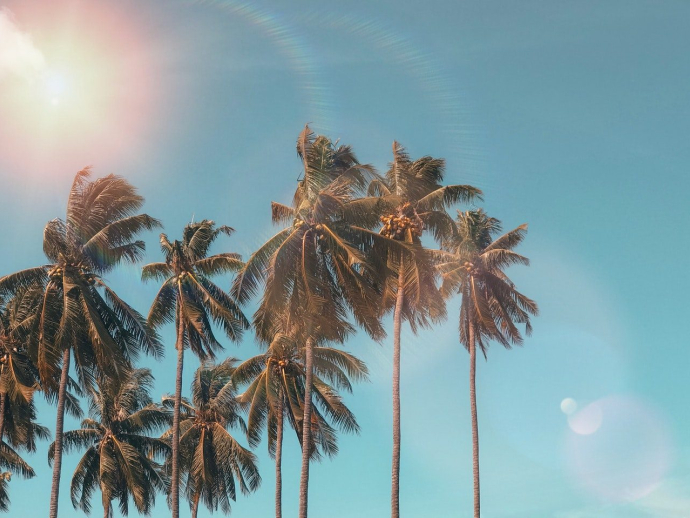 Ways to Get the Most Out of Your Summer
