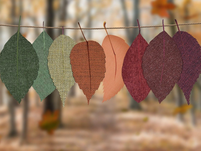 Simple Autumn Elegance