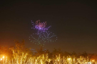 Dronex Show Event Management