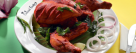 Calicut Foodies