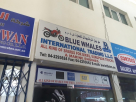 Blue Whales International Trading