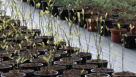 Highlands Landscaping