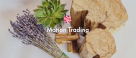 Motion Trading