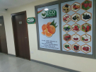 Eco Garden General Trading
