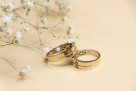 Alamir Jewellery