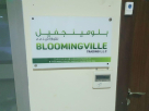 Blooming ville Trading