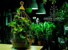 Green Garden Flowers And Plants Trading