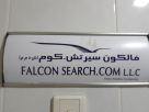 Falcon Search.com