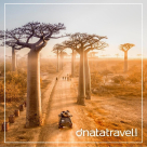 Dnata - Sonapur Central Market