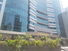 Quest Direct Professional Services
