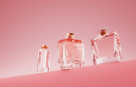 Ibis Perfume