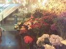 Bliss Downtown Flower Trading