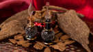 Super Smell Agarwood Trading
