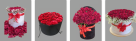 Choco Ward Al Dar Flowers & Chocolates