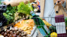 Time To Eat Grocery