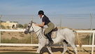 Al Madam 2 Equestrian Club